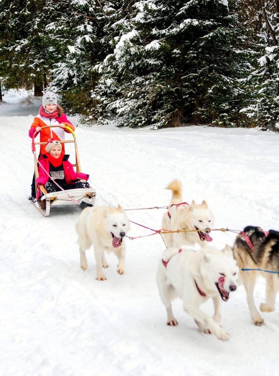 New Year & Christmas