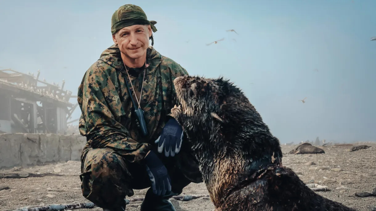 “This Is Our Apology to Nature”: How Marine Mammals Are Being Rescued in Russia