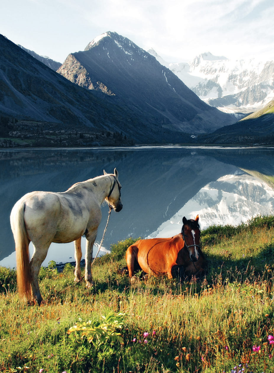 Altai