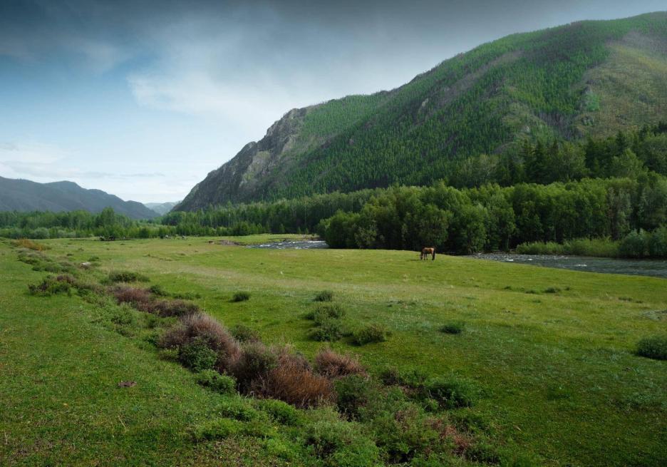 фото img_694e98a89da2b.jpg