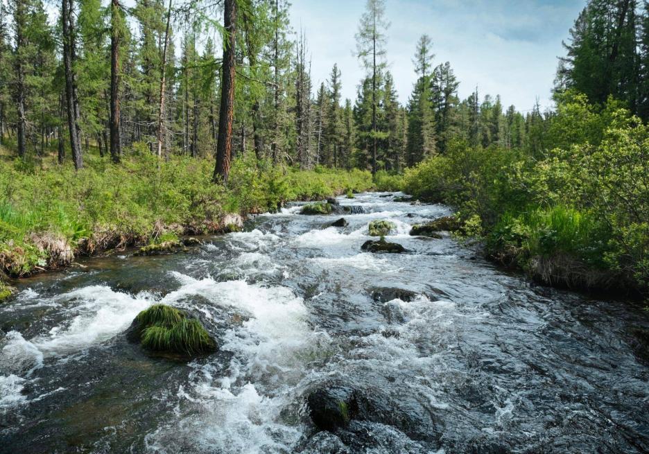 фото img_694e9b7171978.jpg