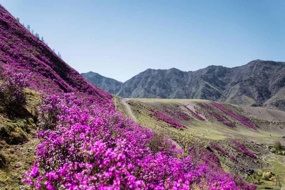 фото img_6981b907734dc.jpg