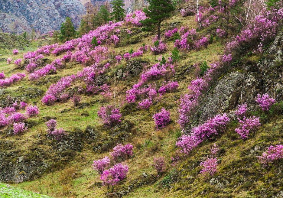 фото img_6981b9329d2b5.jpg