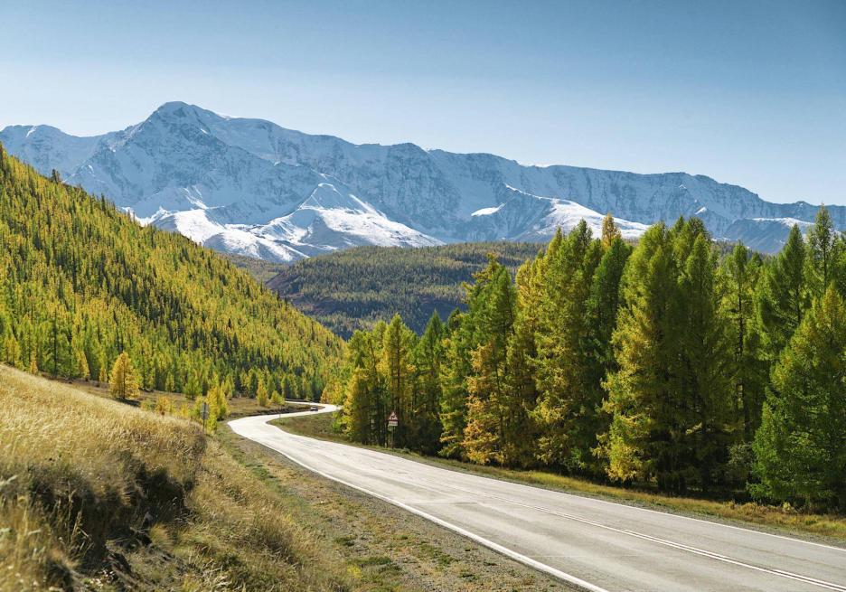 фото img_6981b934268c9.jpg