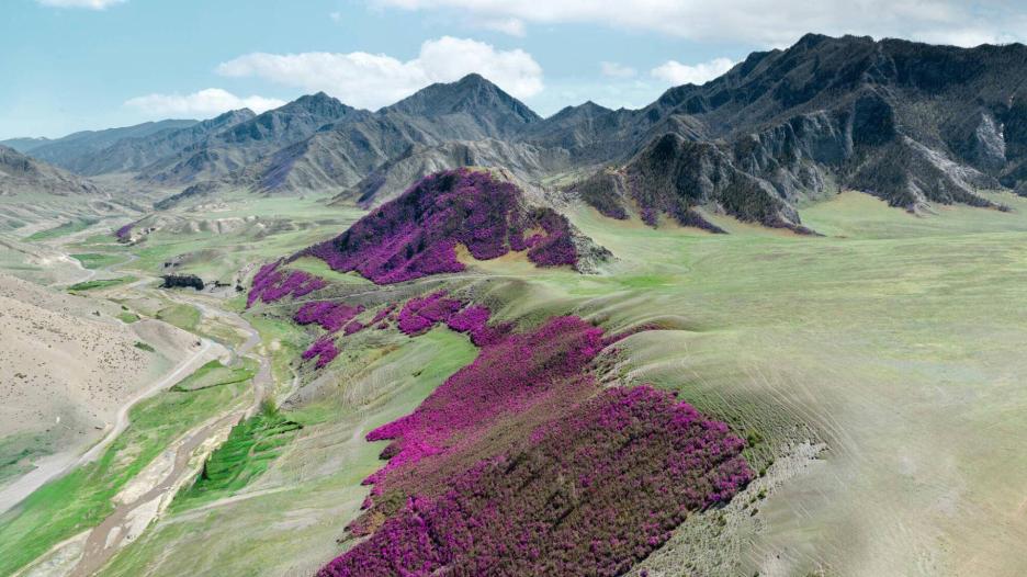 фото img_6981b9357dac7.jpg