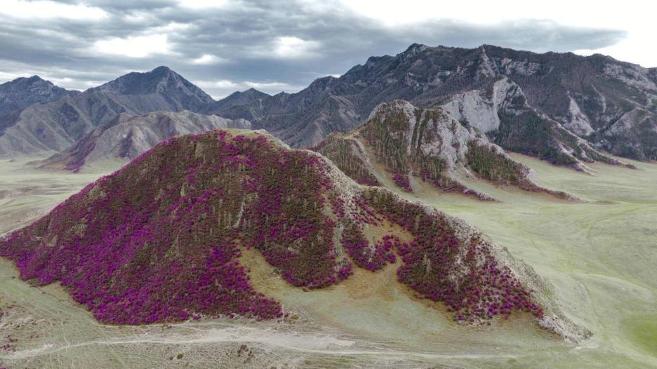 фото img_6981b9368a18d.jpg