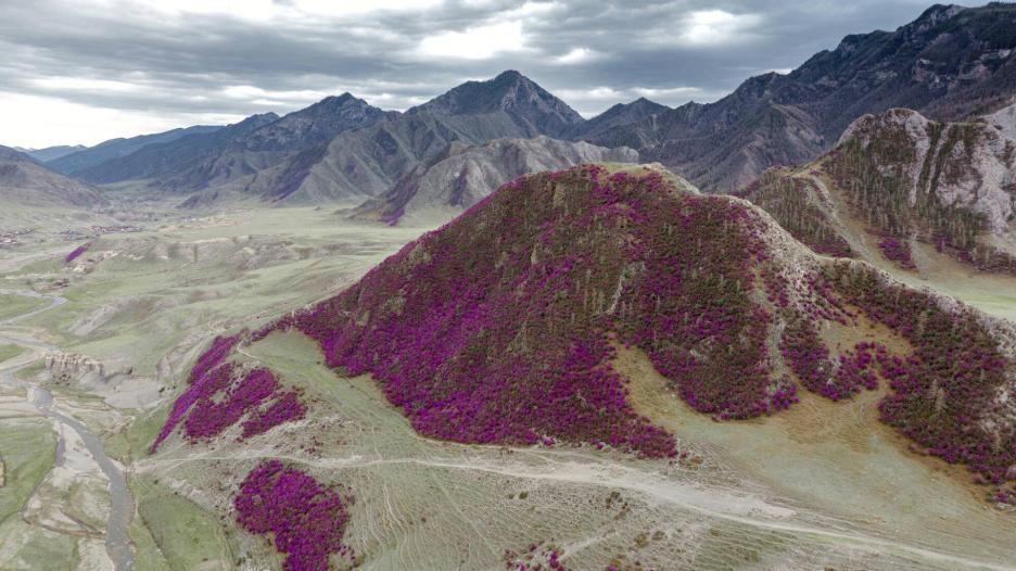 фото img_6981b937907c2.jpg