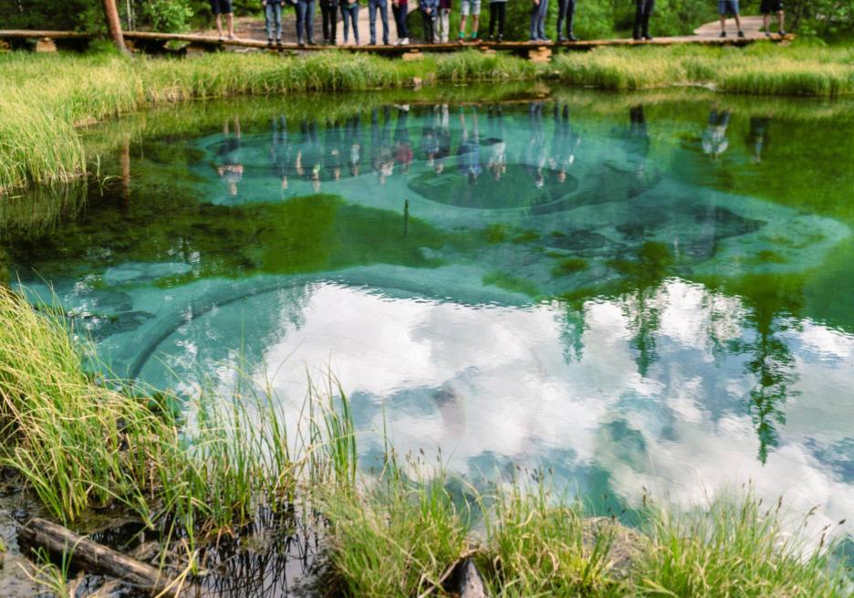 фото img_6981b977bfb1f.jpg