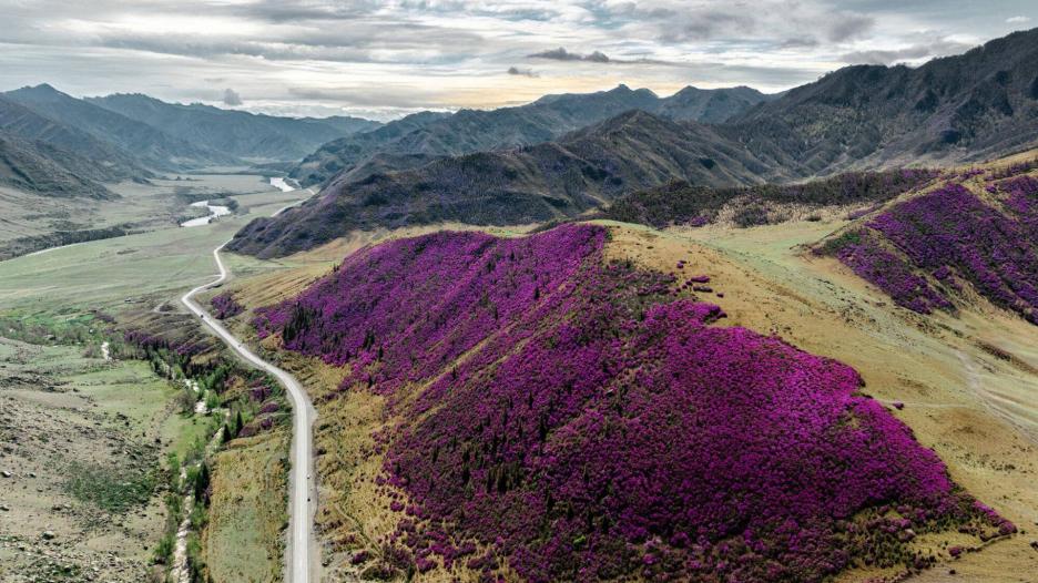 фото img_6981b97912499.jpg