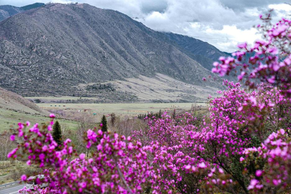 фото img_6981b97b82b6e.jpg