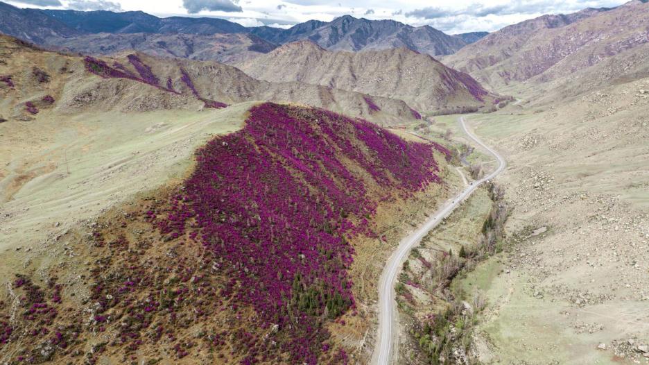 фото img_6981b97dd9179.jpg