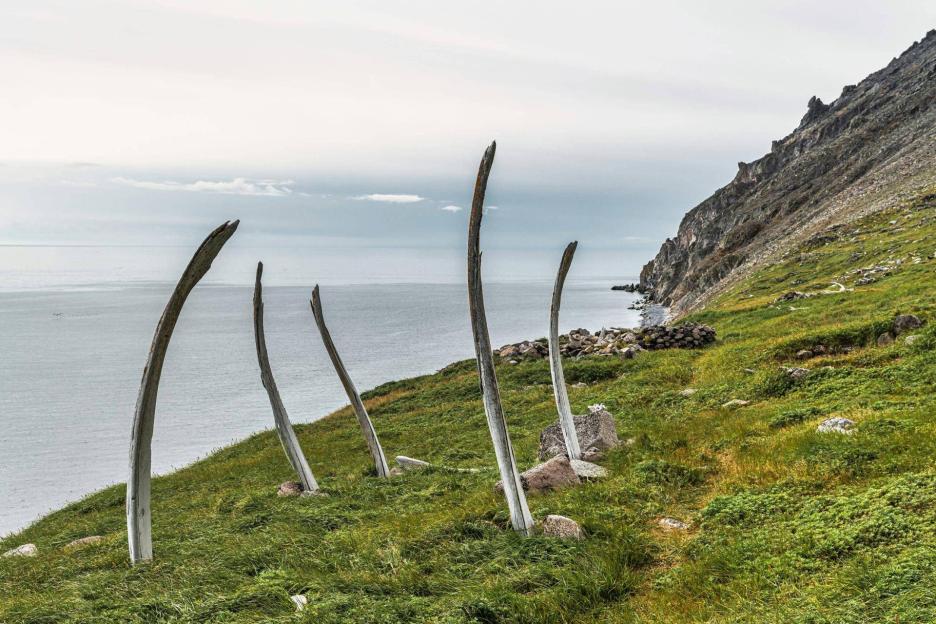 фото img_6983114e01f3e.jpg