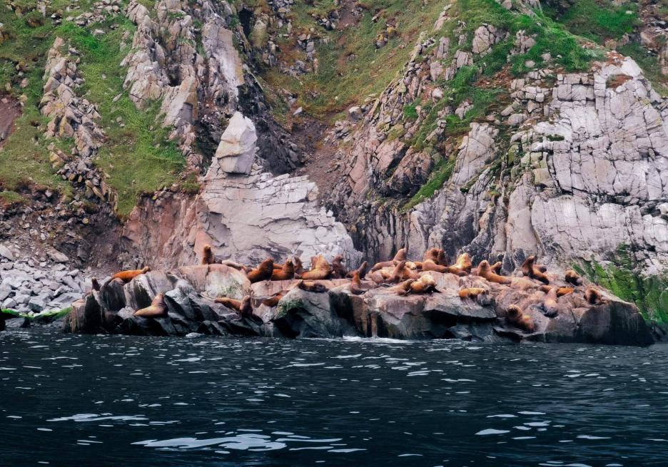 фото img_6983115091a6e.jpg