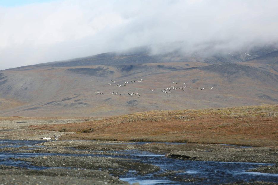 фото img_69831151f3995.jpg