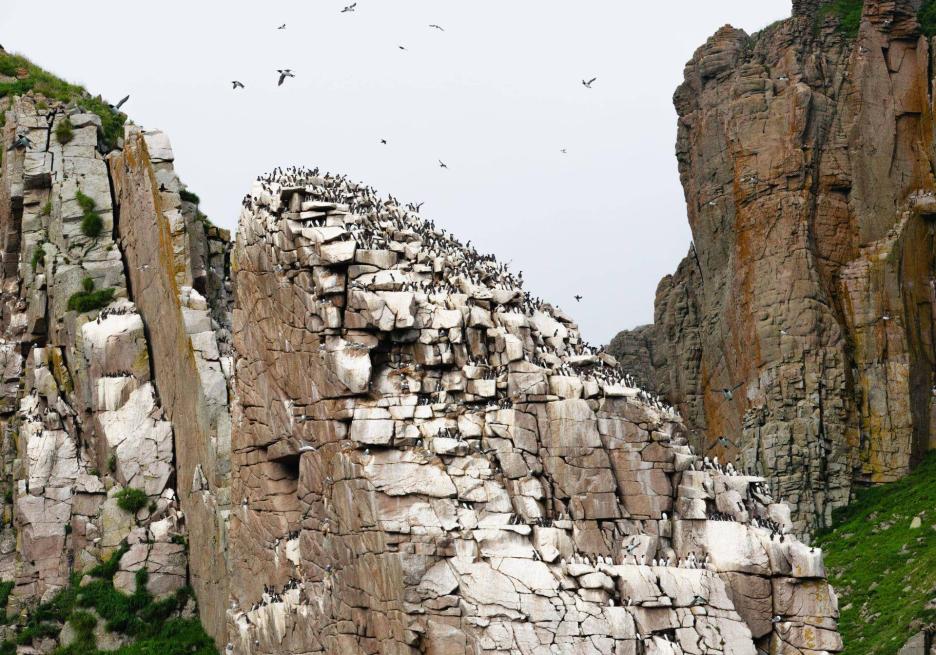 фото img_698311a1ea4ca.jpg