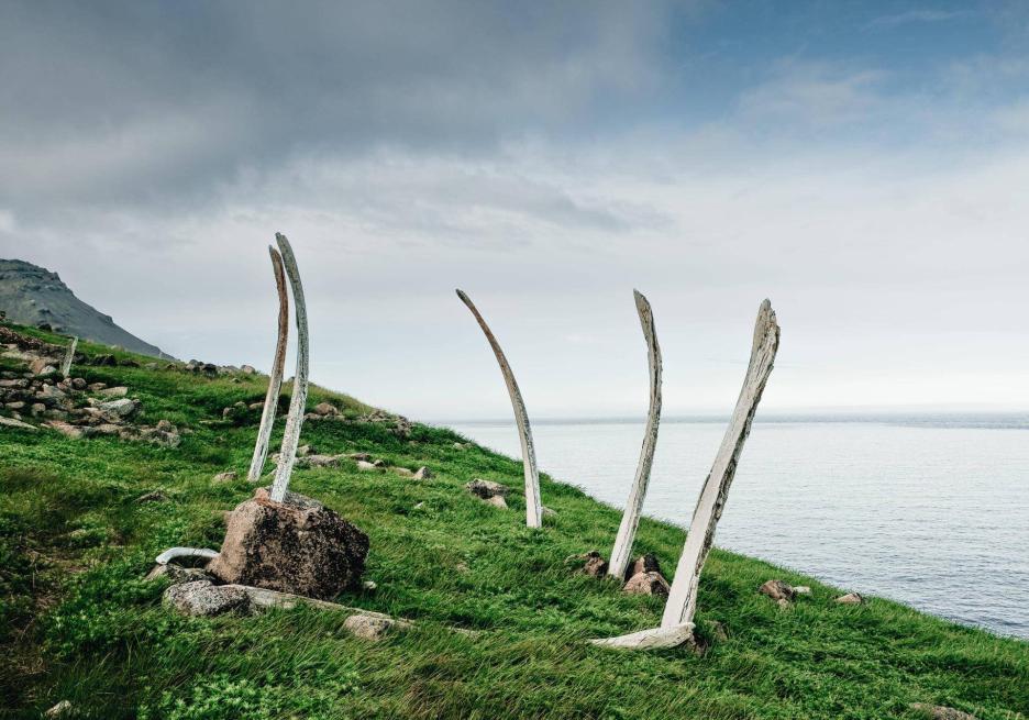 фото img_6983121290531.jpg