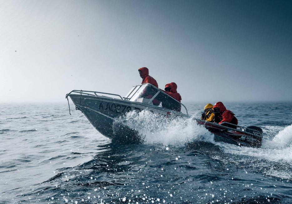 фото img_698312156f8a1.jpg