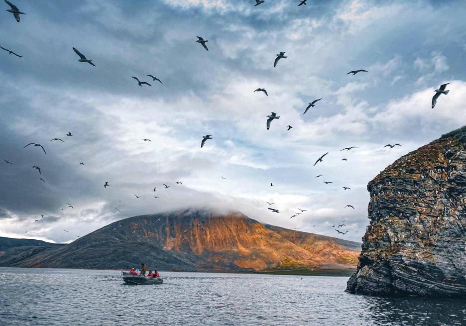 фото img_69831286b3a66.jpg