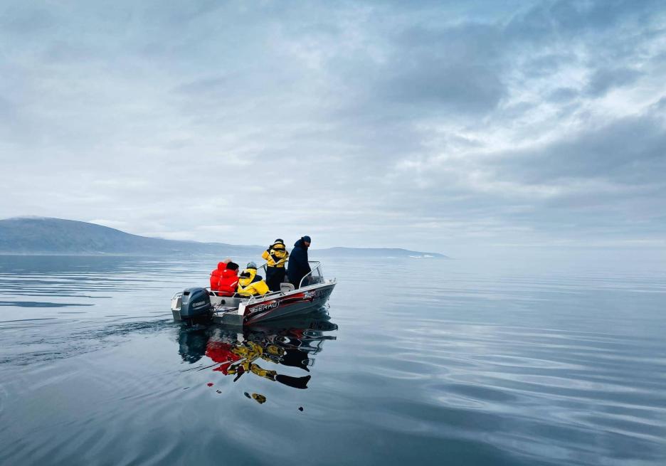 фото img_69831287f29d5.jpg