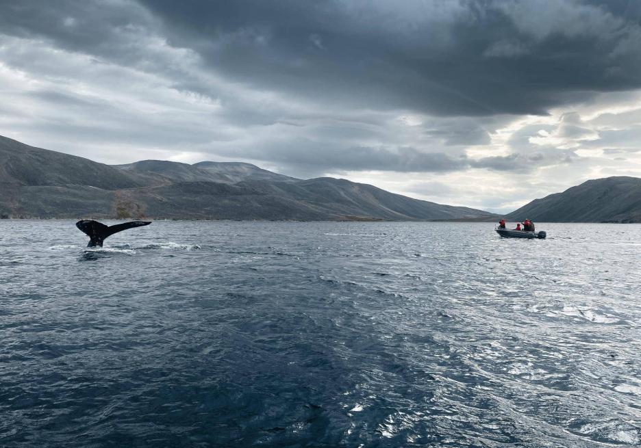 фото img_698312892dcb0.jpg