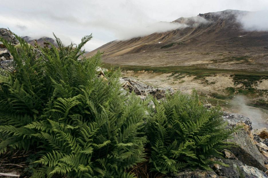 фото img_698312c63a705.jpg