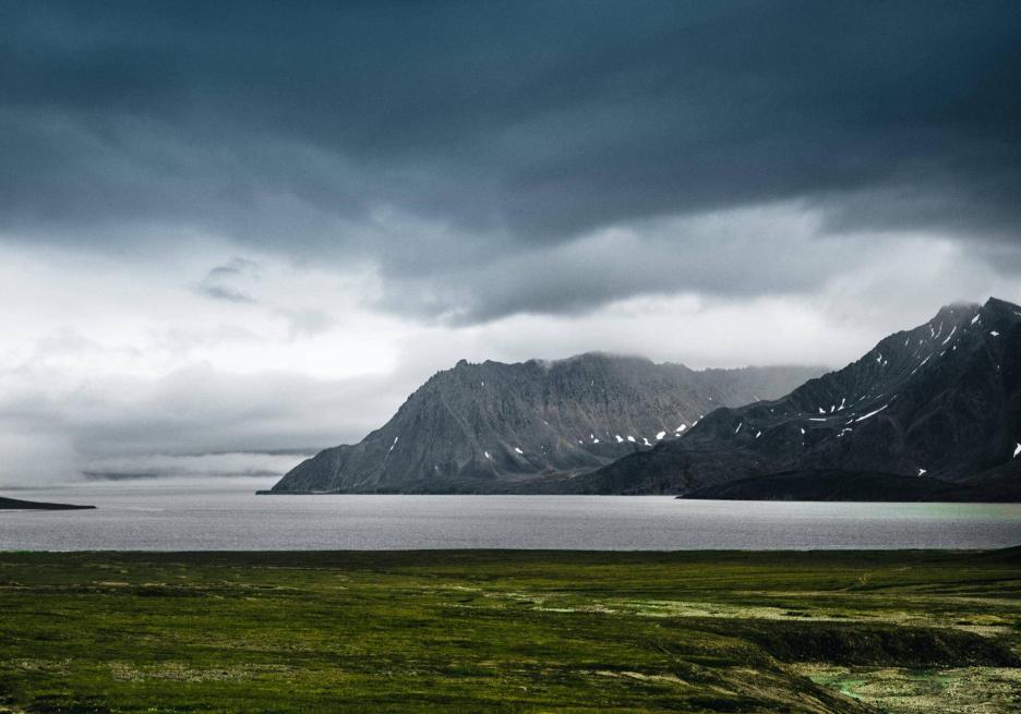 фото img_698312c8caaf2.jpg