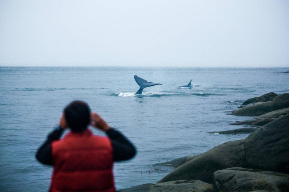 фото img_6995bd281bbae.jpg