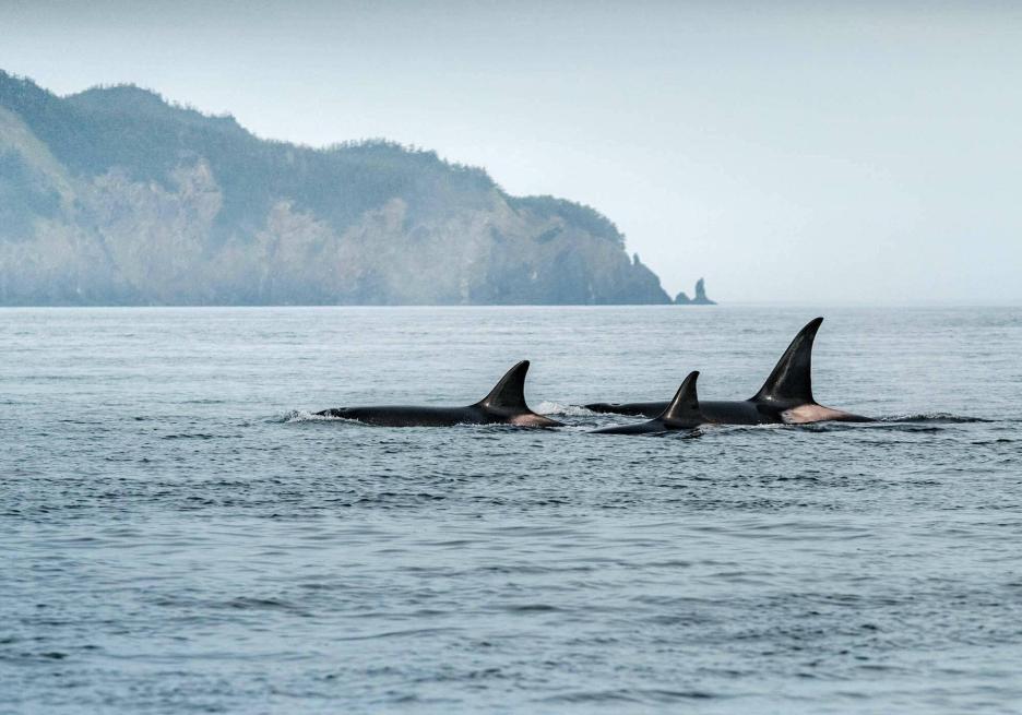 фото img_6995bd2a9f8fc.jpg