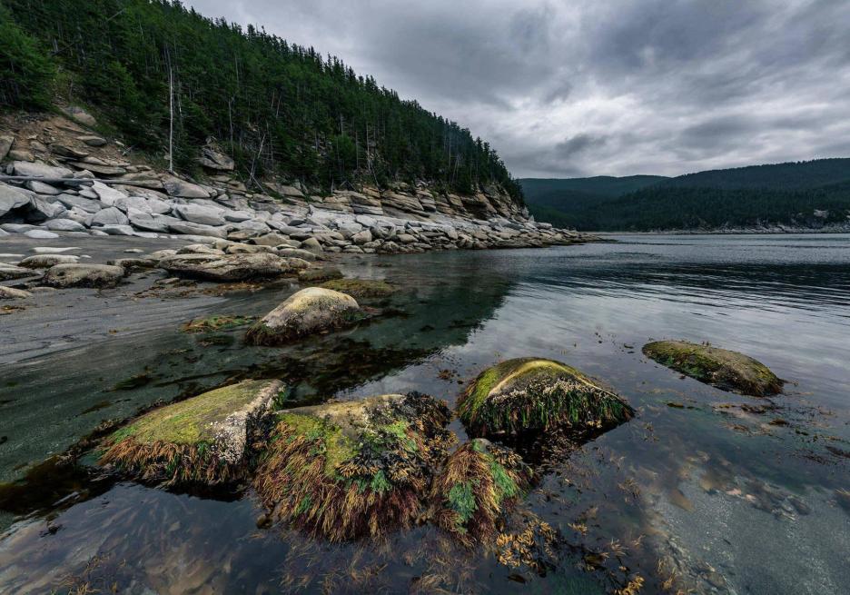 фото img_6995bd2be45fb.jpg