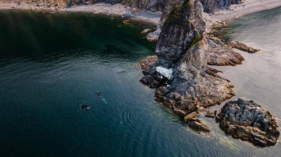 фото img_6995bd2e55297.jpg