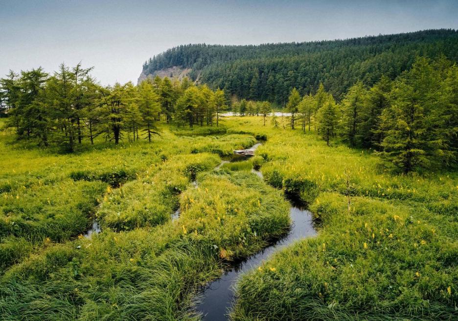 фото img_6995bd62109dc.jpg