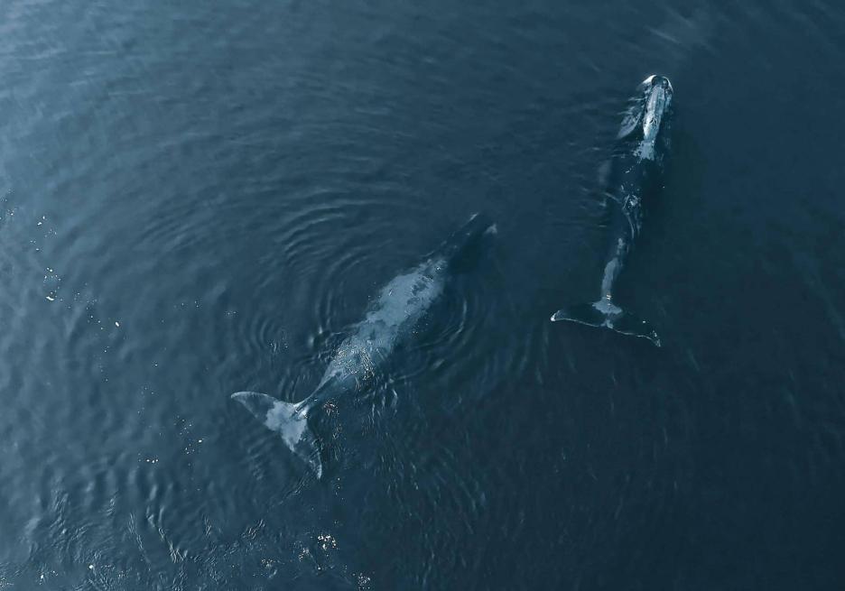 фото img_6995bd64b11b5.jpg