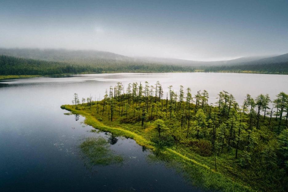 фото img_6995bd65e9033.jpg