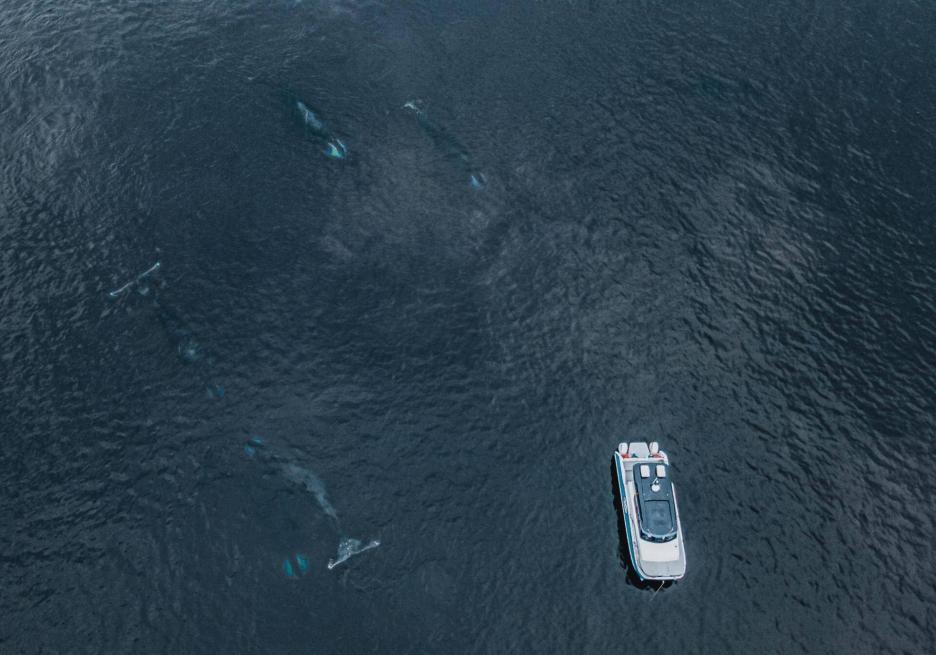 фото img_6995bdb703e76.jpg