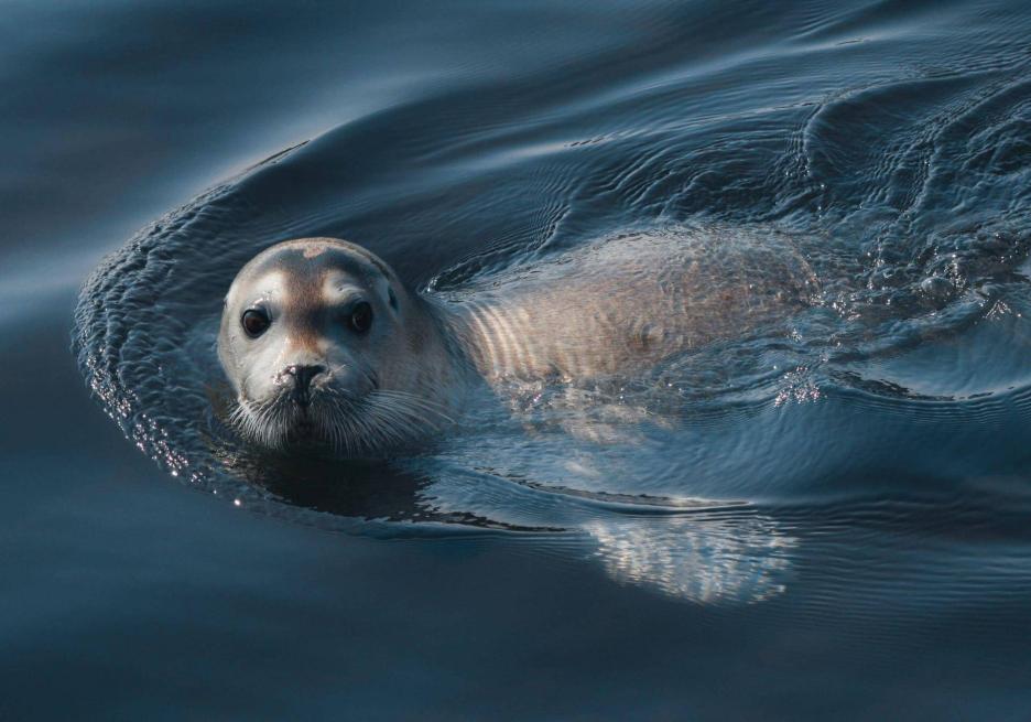 фото img_6995bdb9a5228.jpg