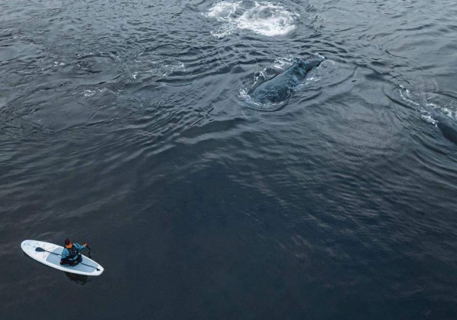 фото img_6995bdbae8038.jpg