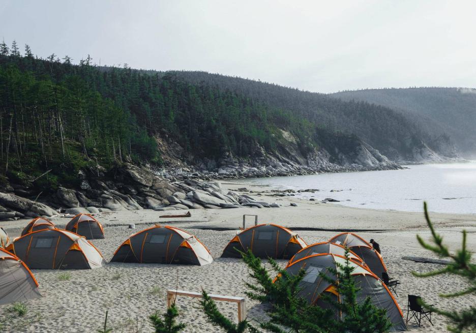 фото img_6995bdc166faf.jpg