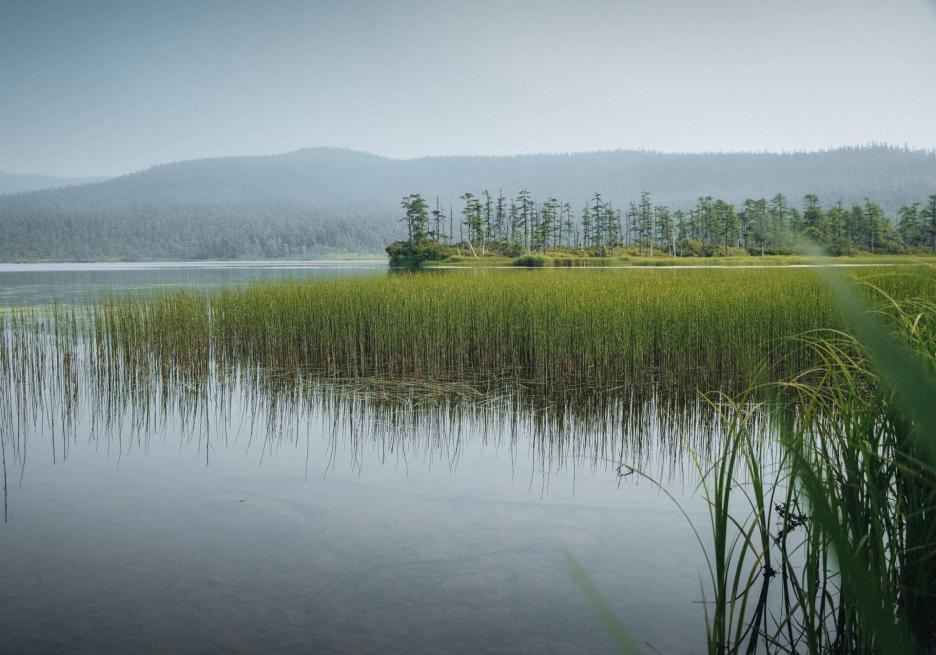 фото img_6995bdf0ecd57.jpg