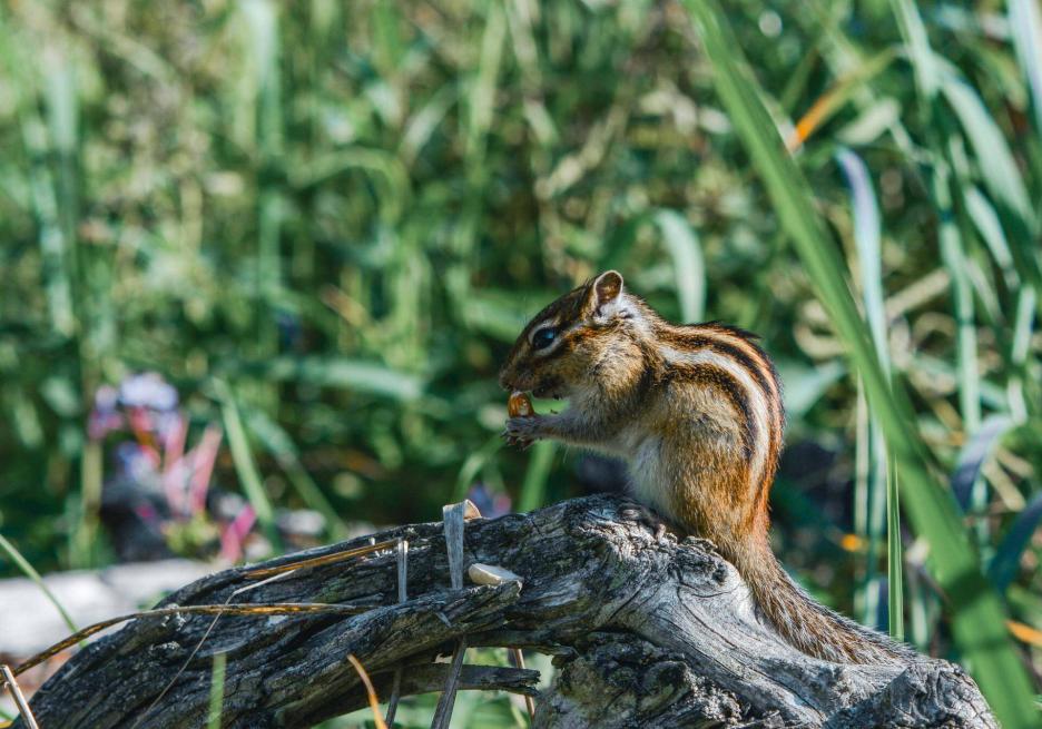 фото img_6995bdf244878.jpg