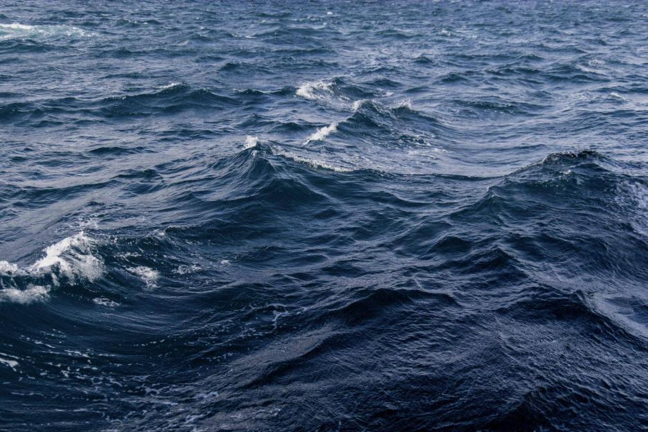 фото img_69cb6bad4760d.jpg