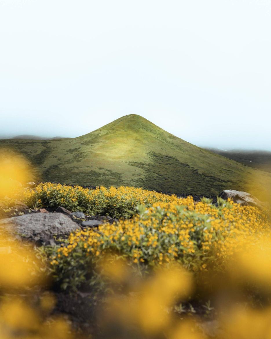 фото img_69cb6bae886a8.jpg