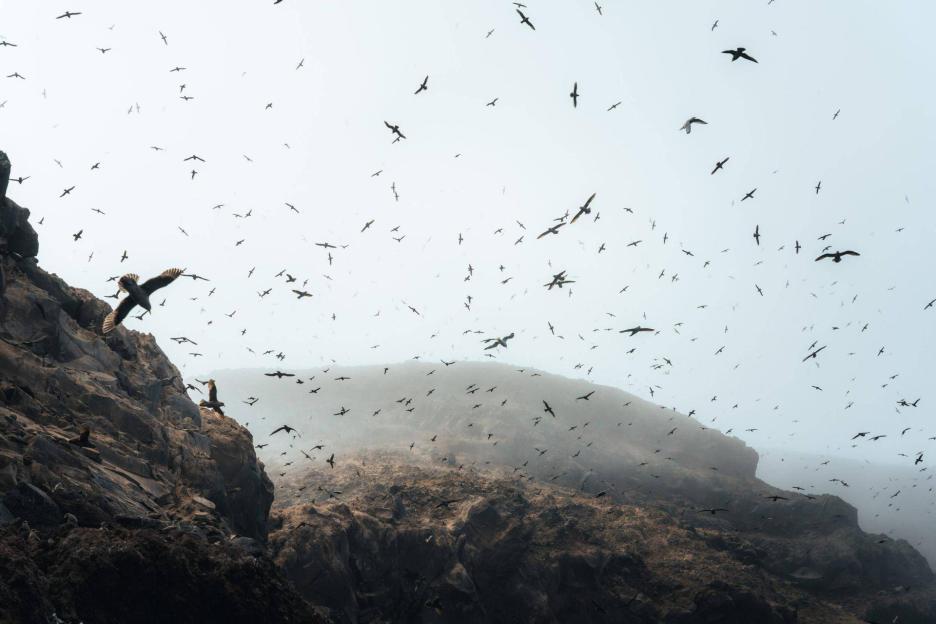 фото img_69cb6bb0e1885.jpg