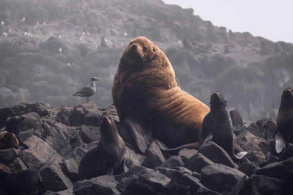 фото img_69cb6bb21ba3b.jpg