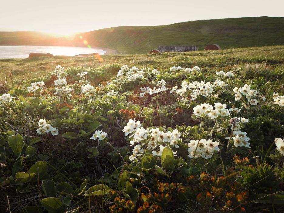 фото img_69cb6d2f52974.jpg