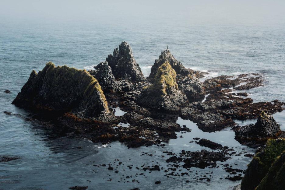 фото img_69cb6d3358231.jpg