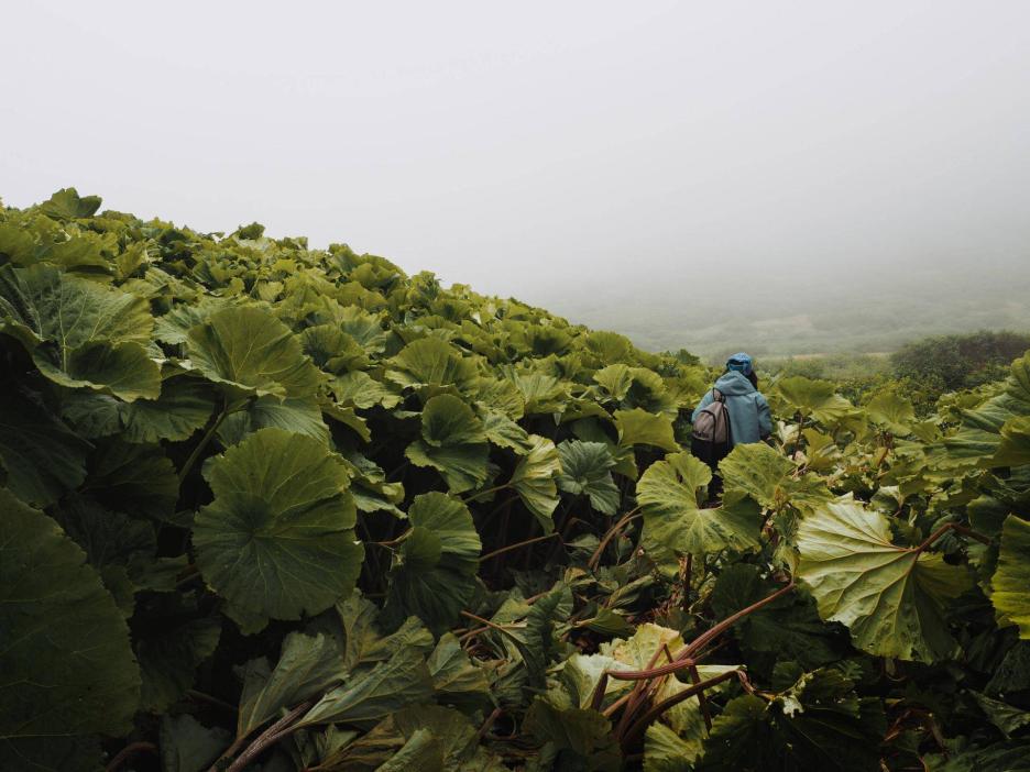 фото img_69cb6d387670a.jpg