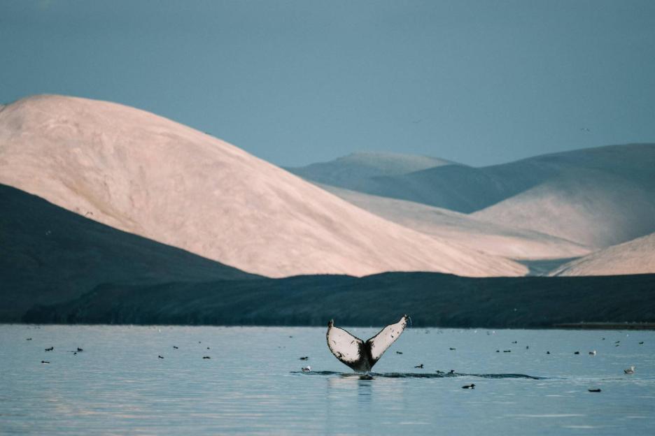 фото img_69ccb809613f0.jpg