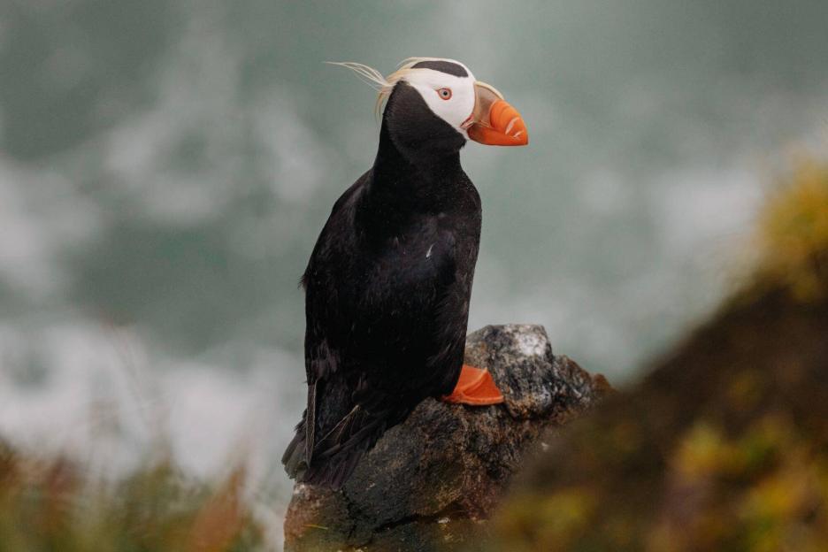 фото img_69ccb80ce4eb8.jpg