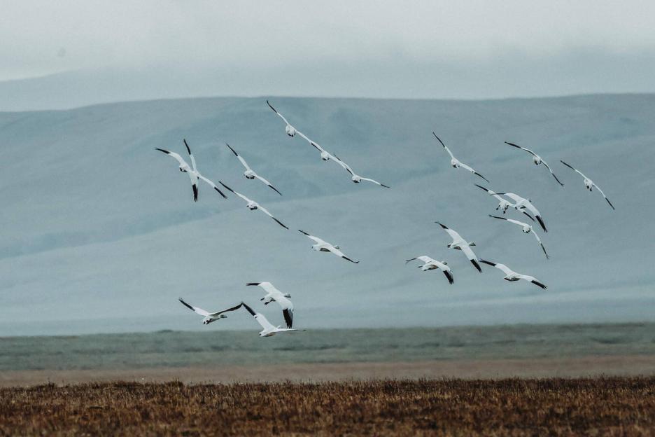 фото img_69ccb811a0423.jpg