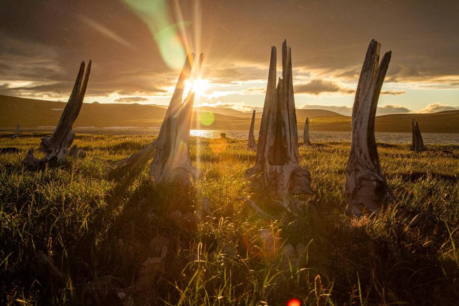 фото img_69ccb813f10ec.jpg